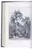 Four articles on the date palm in the Middle East, northern Africa and America
