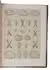 Shells from Turkey, Palestine and Syria, with 5 lithographed plates