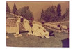 A unique view into the private life of Sheikh Zayed bin Sultan Al Nahyan